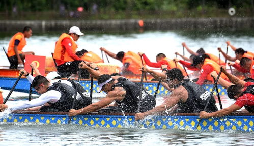 家门口 体育盛宴不断 市民游客目不暇接